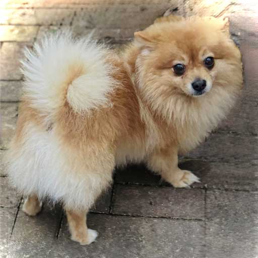 Buster-new-profile-image-512x512 Buster-new-profile-image-512x512